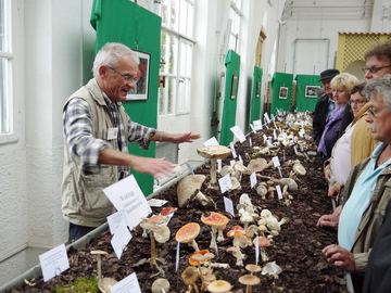 Pilzausstellung